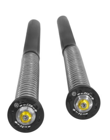 Touratech Suspension Cartridge Kit Extreme for BMW F900GS from 2024