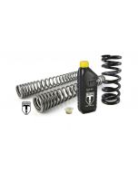 Progressive BLACK-T replacement springs Stage 1 for fork and shock absorber fit BMW RnineT Pure from 2017