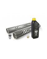 BLACK-T fork springs Stage1 progressive for BMW RnineT Scrambler / Urban G/S from 2015 onwards