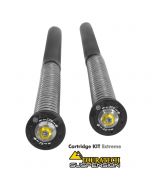 Touratech Suspension Cartridge Kit Extreme for BMW F800 GS Adventure from 2013 onwards