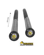 Touratech Suspension lowering Cartridge Kit -25mm for Honda CRF1100L Adventure Sports (without EERA) from 2020