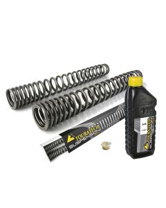 Progressive fork springs for CFMOTO 800MT (2021-)
