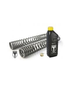 BLACK-T fork springs progressive Stage1 for Harley Davidson FLH (T/X) / FLTR (X/U) Streetglide / Roadglide / CVO  2017-2023